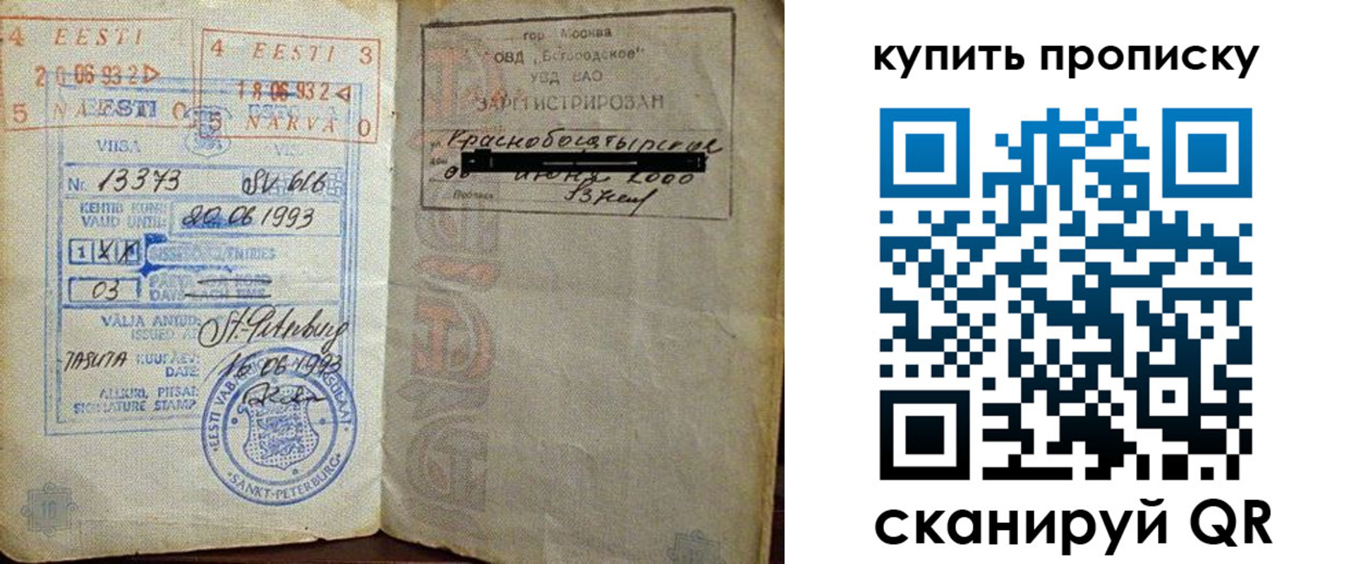 прописка для школы в Сертолово